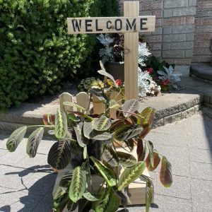 Welcome Sign Planter