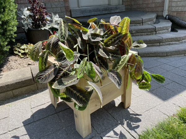 Flower Box