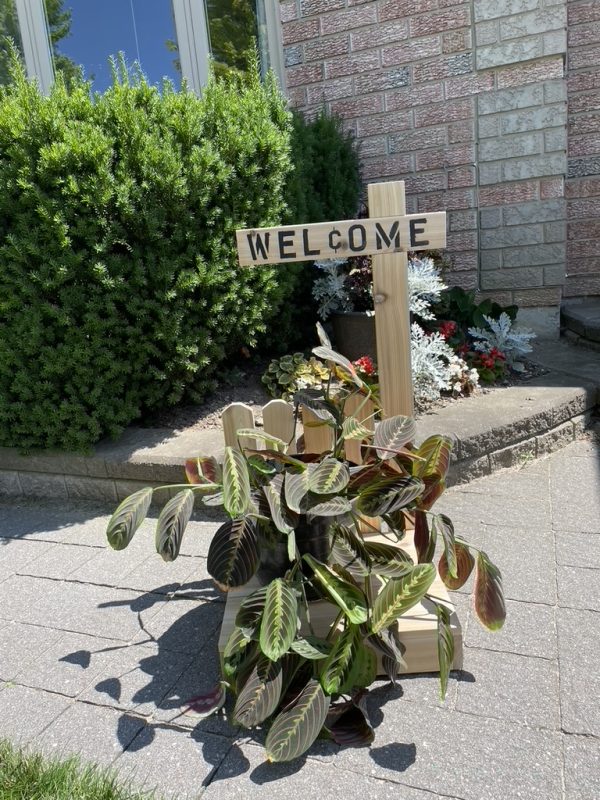 Welcome Planter with Black Lettered Sign - Image 2