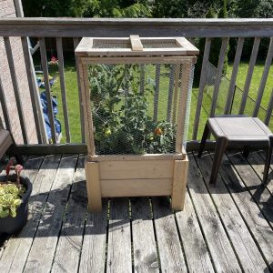 Tomato Planter