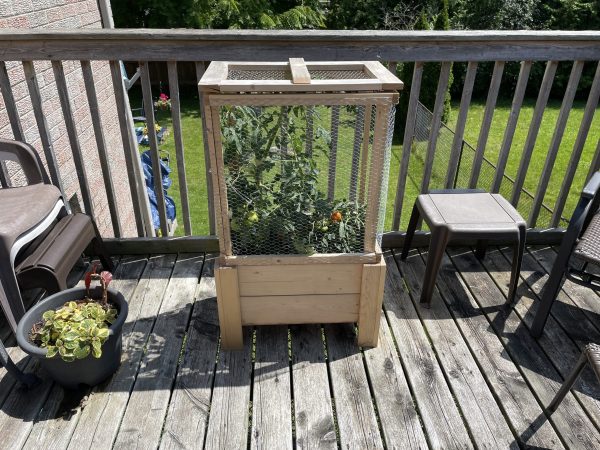 Tomato Planter